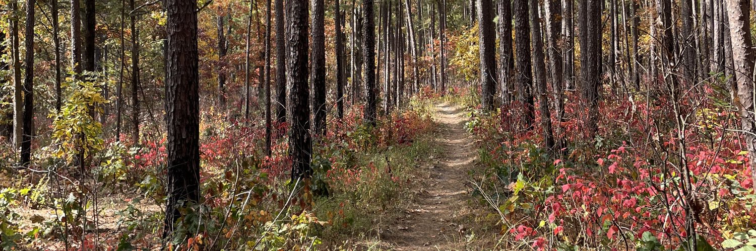 Din Selmanovic banner