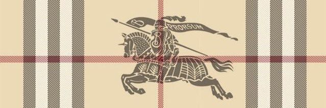 The Don banner