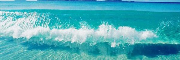 LamarqueAnne Profile Banner