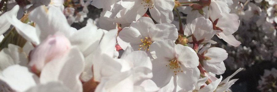 I_Lucy_Lay's profile banner image