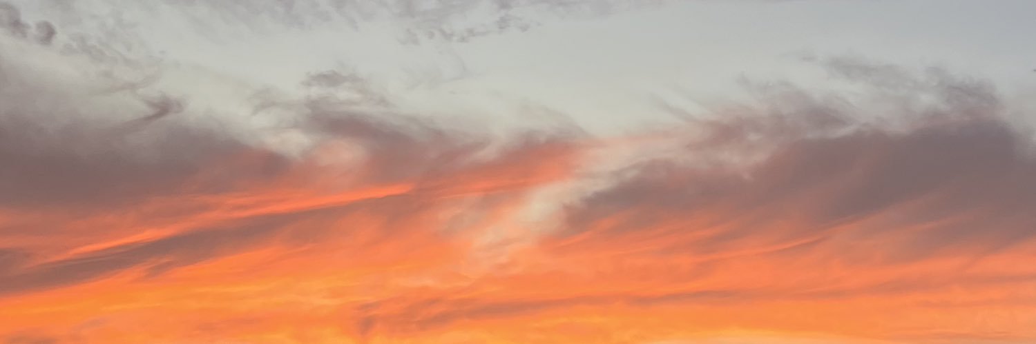 noeva__'s profile banner image