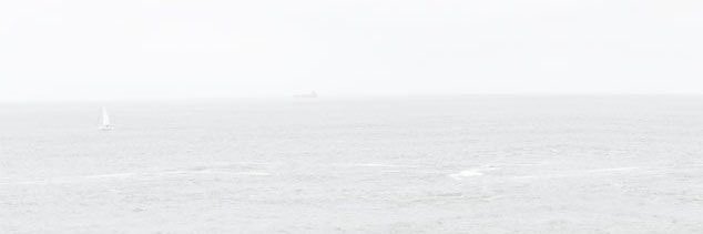 llyoonii's profile banner image