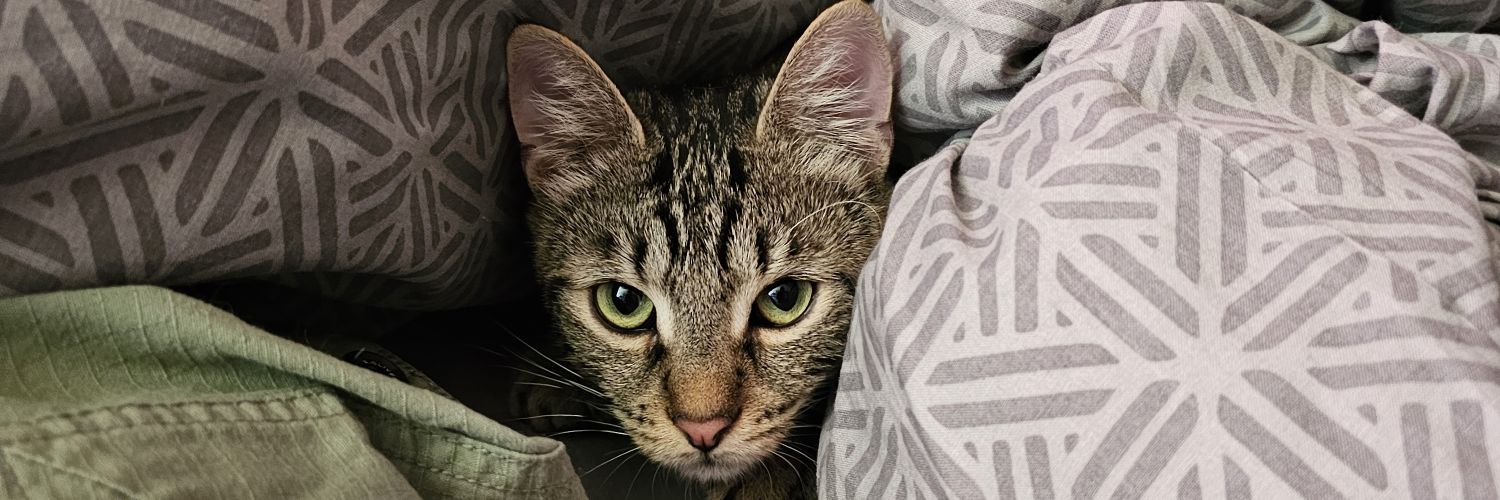 Raltax 🇪🇺 🇦🇹🏔️-Fella banner