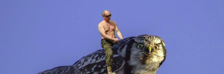 Tora Systad Tyssen banner