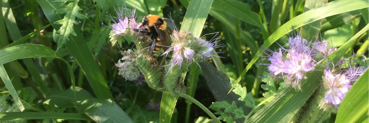 Cover Crops Canada banner