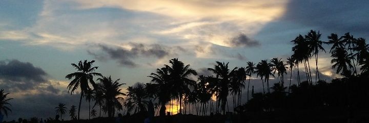 ttdaluw's profile banner image