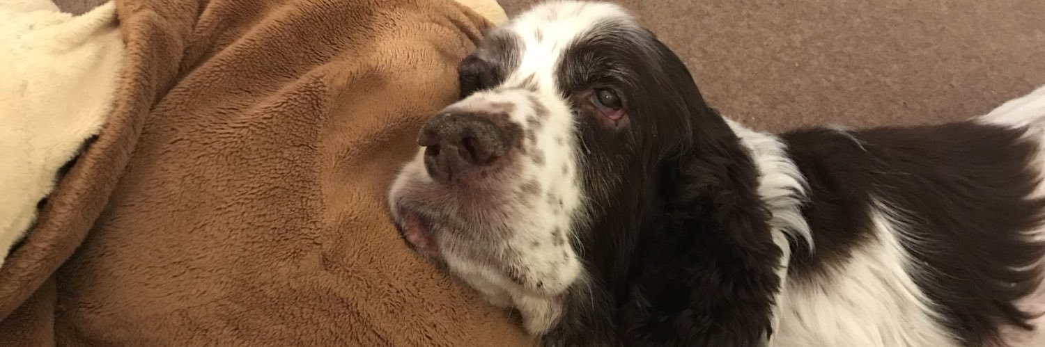 littlejan81's profile banner image
