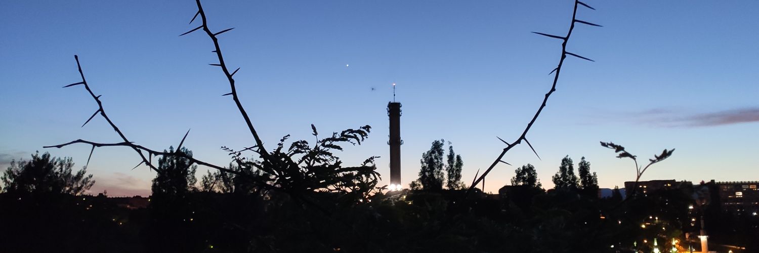 Leto_Lee's profile banner image