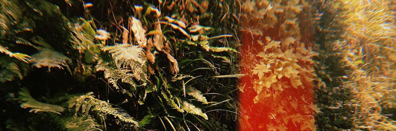 ceryssmithh's profile banner image