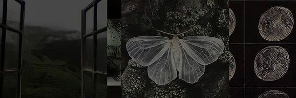 ipaulasantana's profile banner image