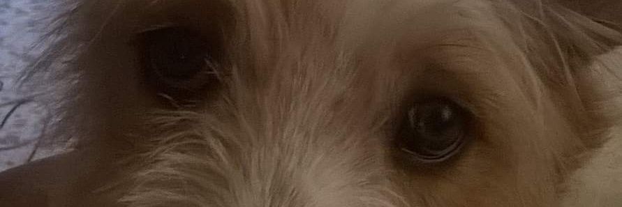 gc_mar's profile banner image