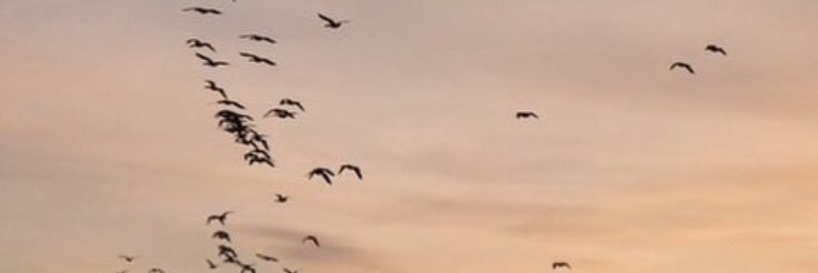 Juuuu_az's profile banner image