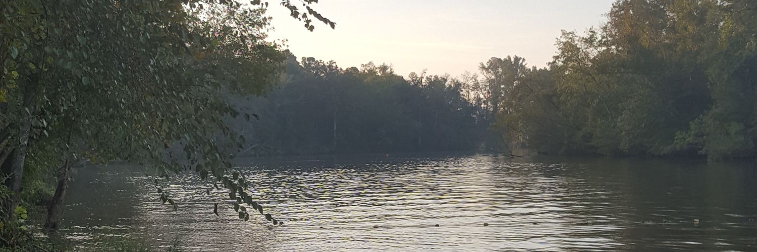 foxtrotfalcon's profile banner image