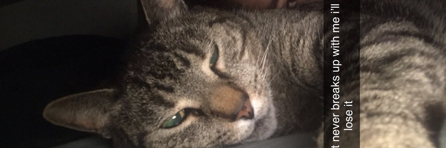 angelycaaa22's profile banner image