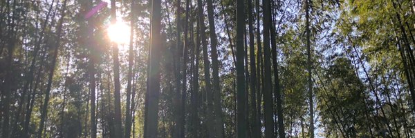 Craig_Nalder Profile Banner