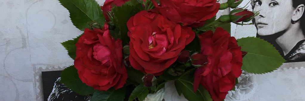 SigridHeinmets's profile banner image