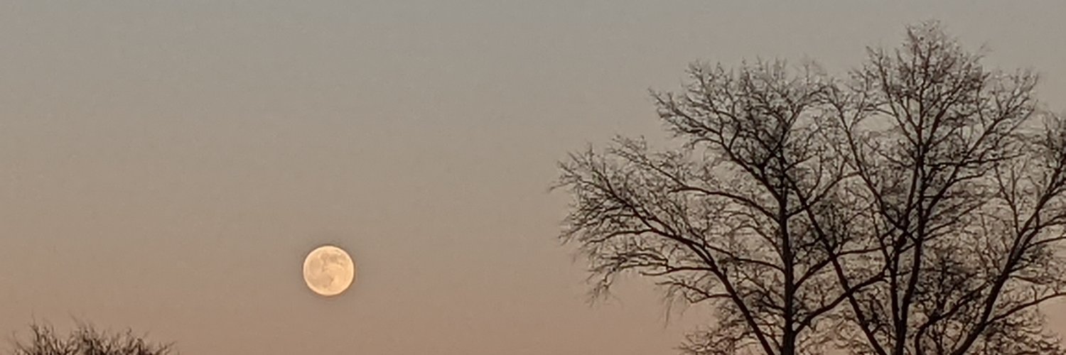 a0eboy's profile banner image
