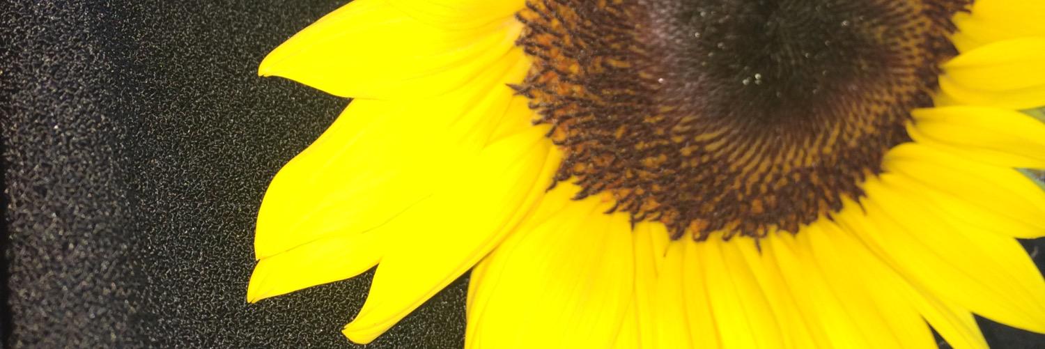 KayAyJayy's profile banner image