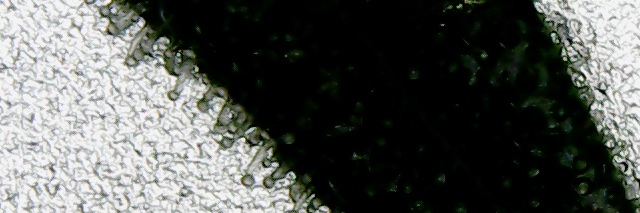 snowgnome's profile banner image