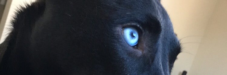 ericfording5434's profile banner image