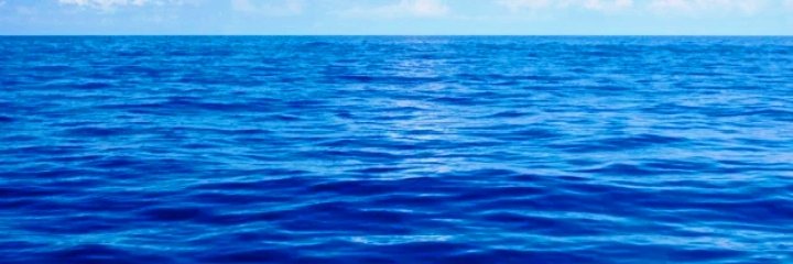 Anna alonso tambo banner