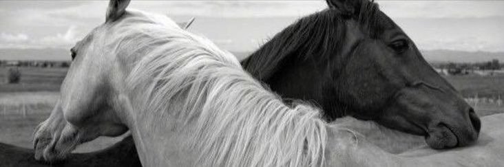 sonnumaraa's profile banner image