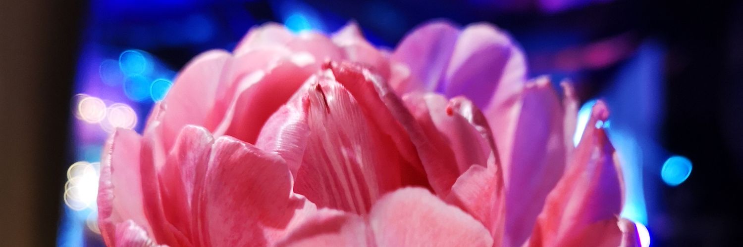 intrvrt888's profile banner image