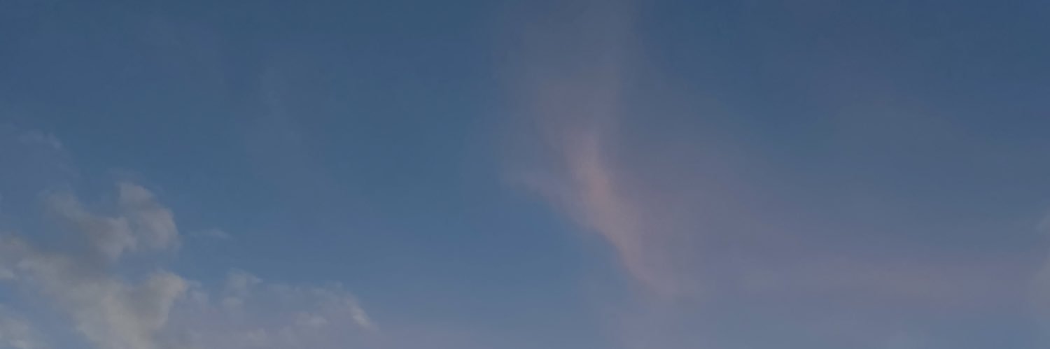 dilaraclsnn's profile banner image