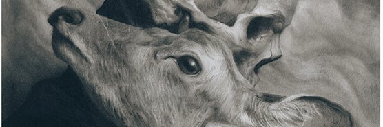 Jimv800's profile banner image