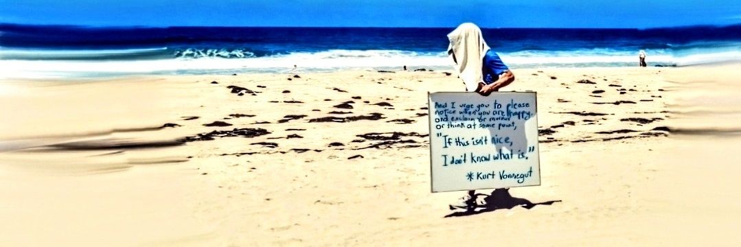 vibehound 🇵🇸 😵‍💫 banner