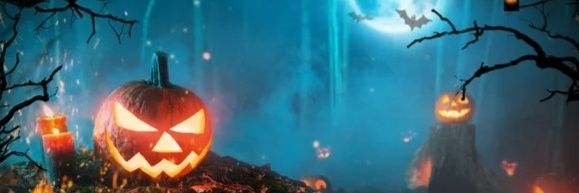 WraithWolf007's profile banner image