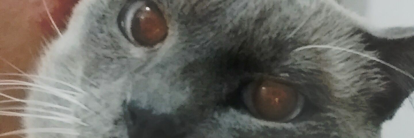 RizzoLuccas's profile banner image