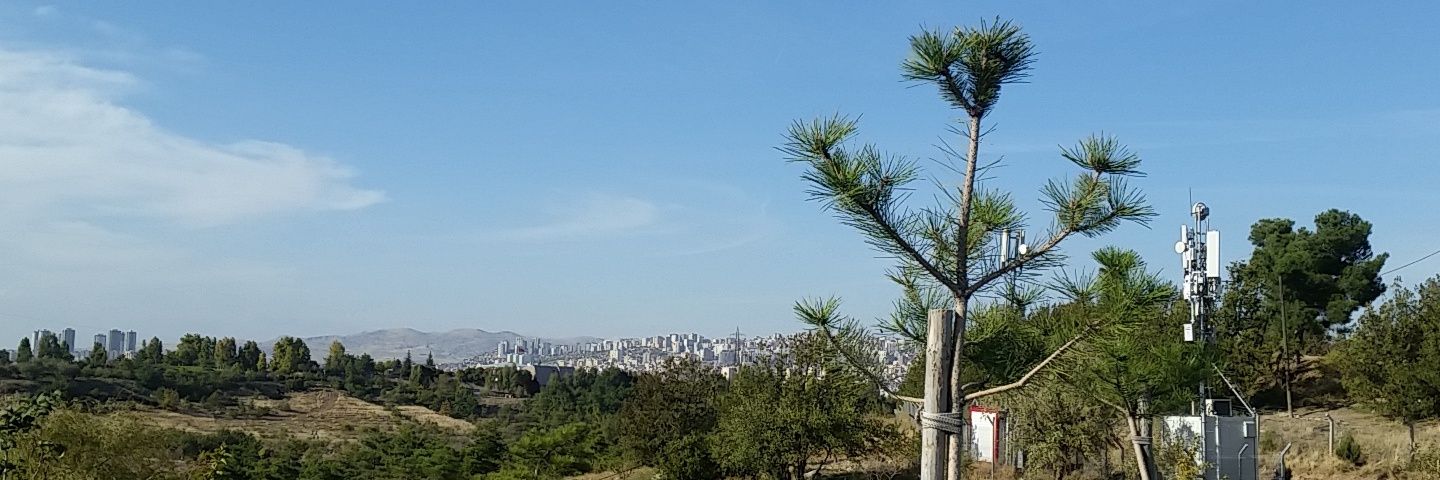 neseergendilara's profile banner image