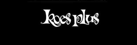 Y-Plus banner