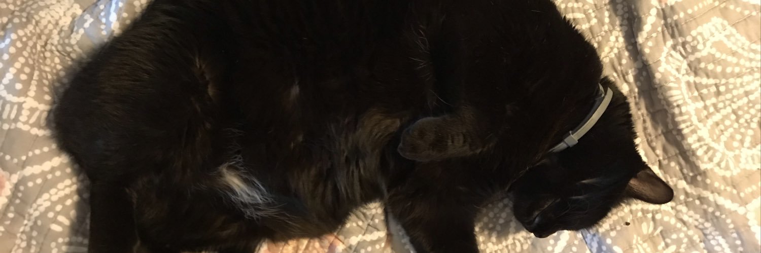 Harleysgram's profile banner image