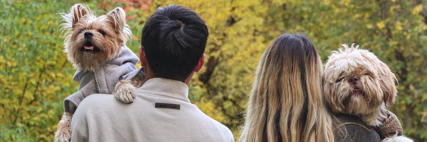 charlinnaa's profile banner image