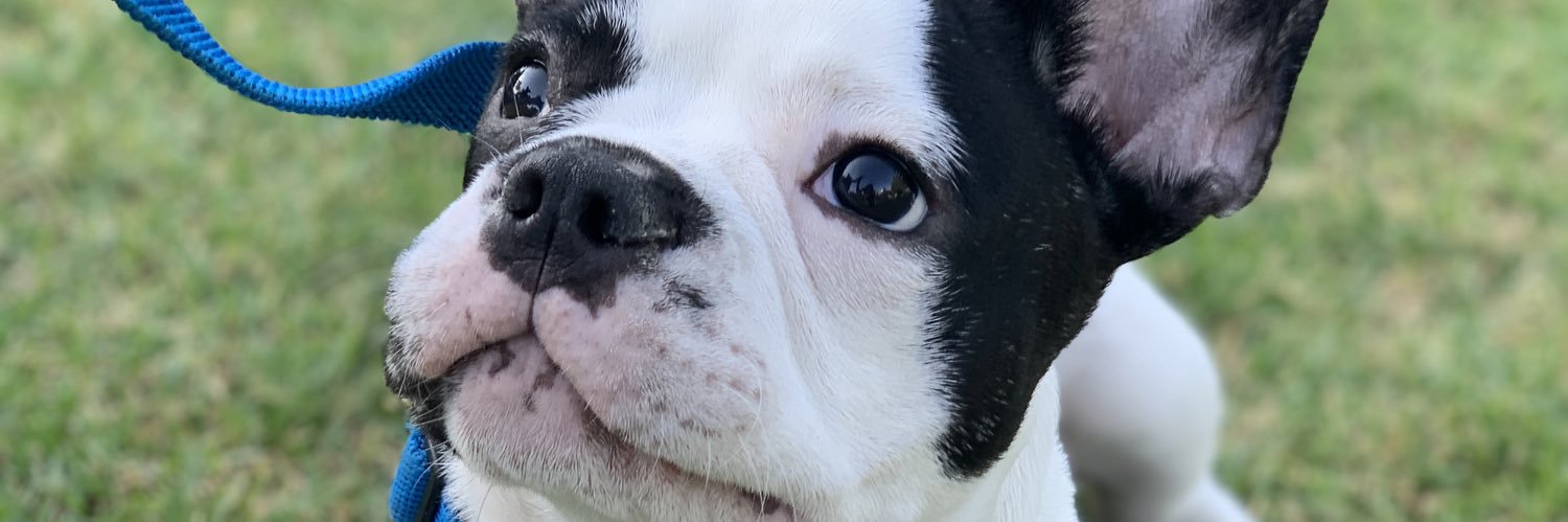 ValenBusson's profile banner image