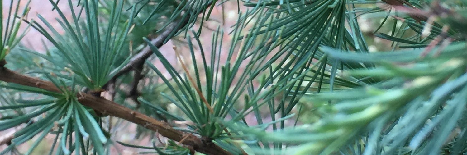 57cheyenne's profile banner image