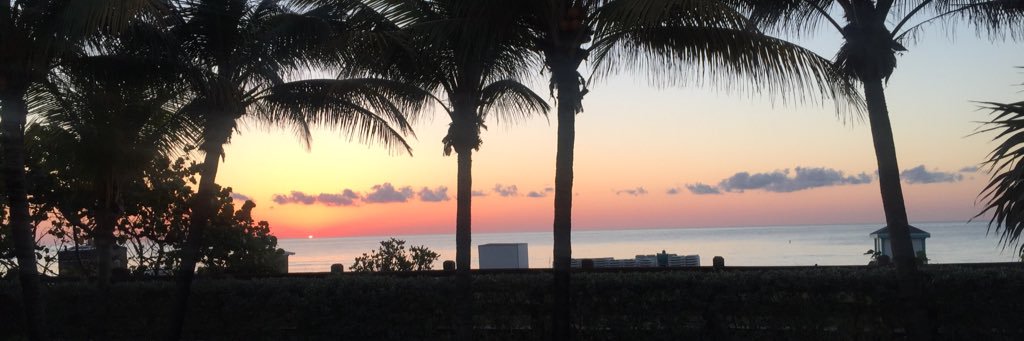 QuamiaDennis's profile banner image