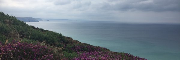 MollyAtkins22 Profile Banner