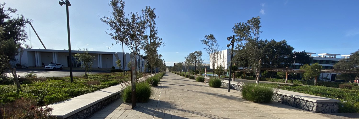 Harrison Kingston banner