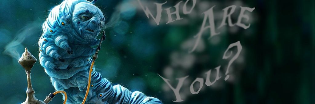 silvichah's profile banner image