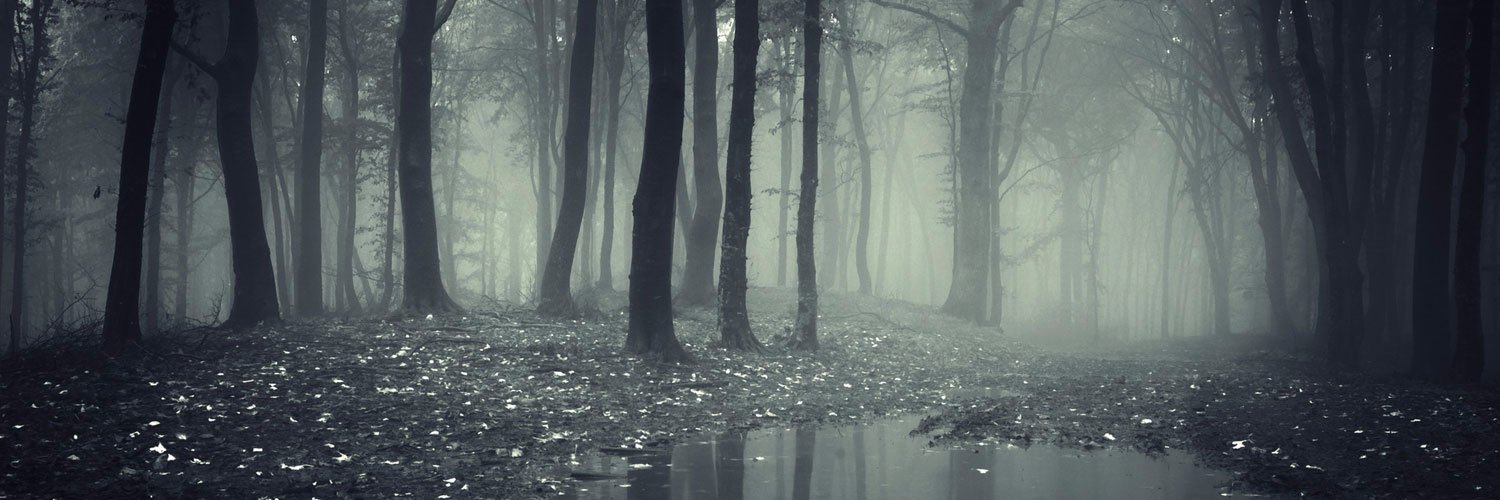 dylanmartel16's profile banner image