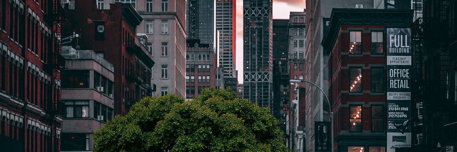 Aleflo19699's profile banner image