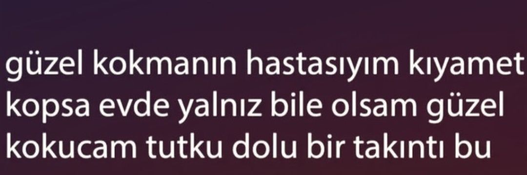 didossssss banner