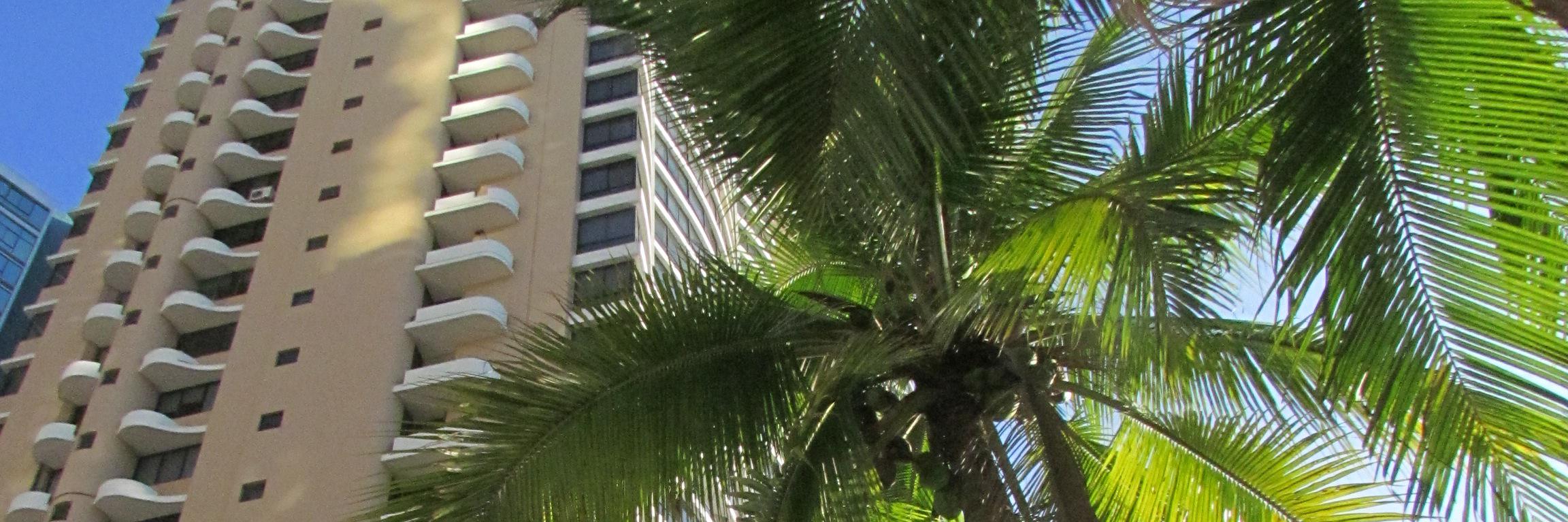 VanneBec's profile banner image