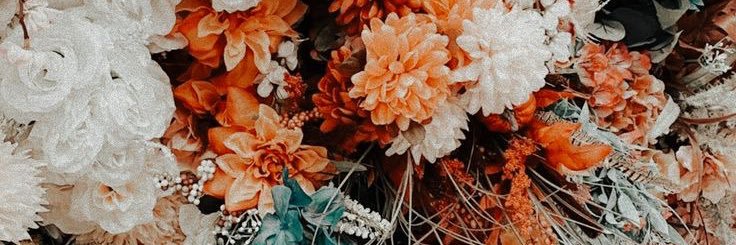 MeghanMoeller's profile banner image