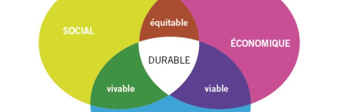 Adoum Sinine Bari banner