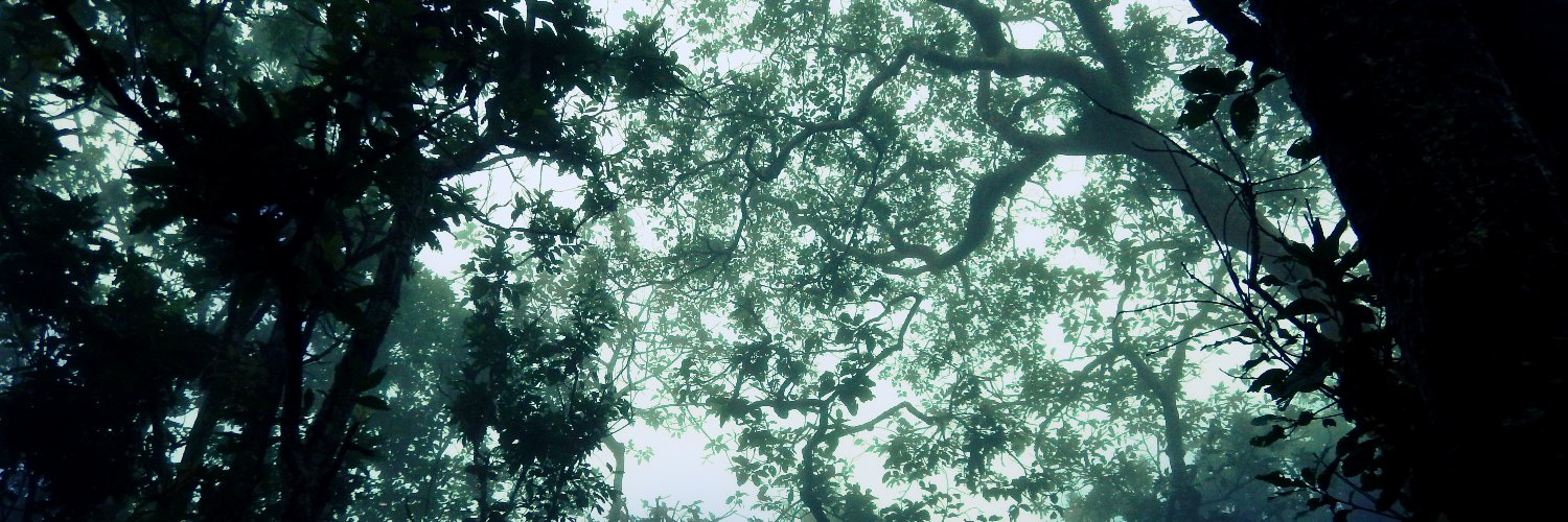 khazure39's profile banner image