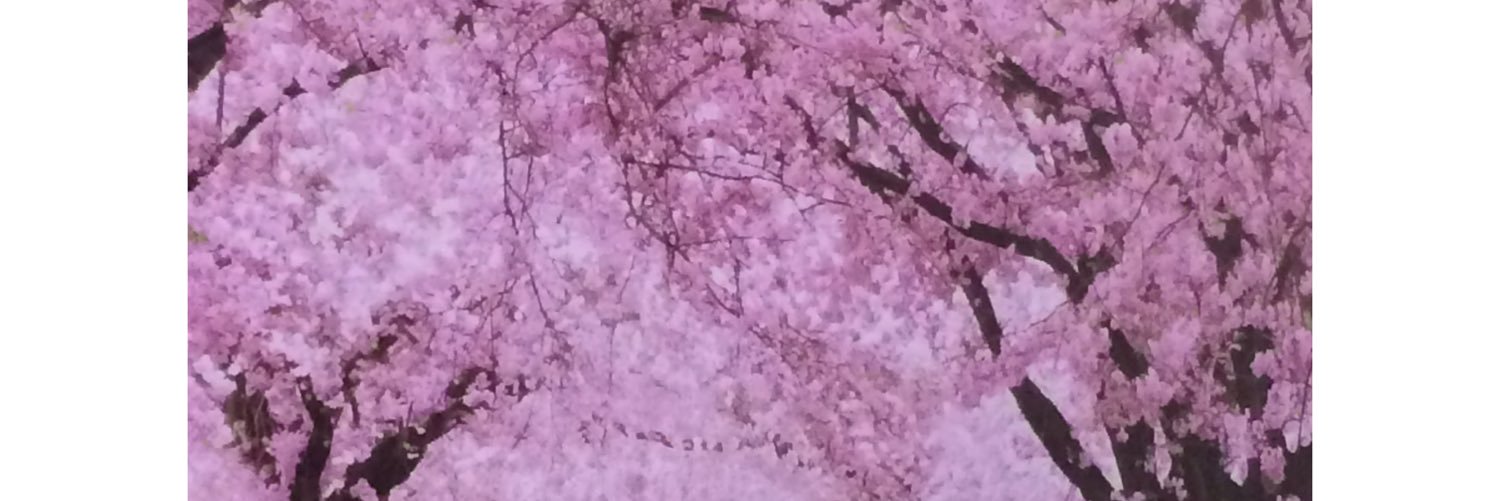 BasaBoyd's profile banner image